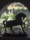 Fazenda Nova