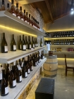 VINÍCOLA CASA VERRONE